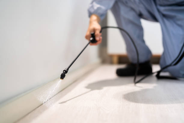 Licensed Pest Control service in Helper, UT - Show Me Pest Control